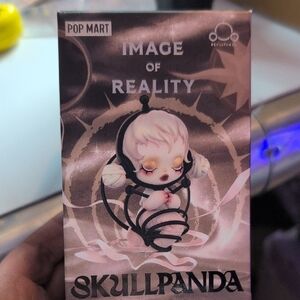 Skullpanda Image Of reality Open Or Blind Box As Seen Live